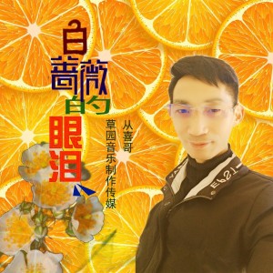 Album 白蔷薇的眼泪 from 从喜哥