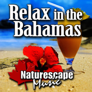 ดาวน์โหลดและฟังเพลง Miles and Miles of Beaches พร้อมเนื้อเพลงจาก Naturescape Music