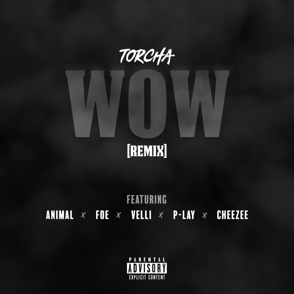 Wow (Remix) (Explicit) (Remix|Explicit)