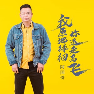 Album 我原地徘徊你远走高飞（粤语版） from 阿国哥