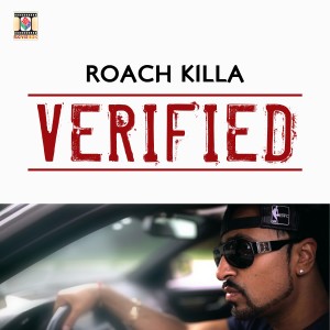 ดาวน์โหลดและฟังเพลง Drake Song พร้อมเนื้อเพลงจาก Roach Killa