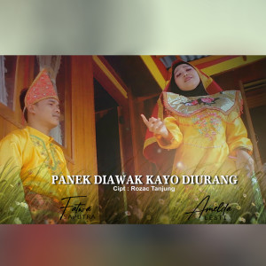 Dengarkan Panek Diawak Kayo Diurang lagu dari Amelda Lesti dengan lirik