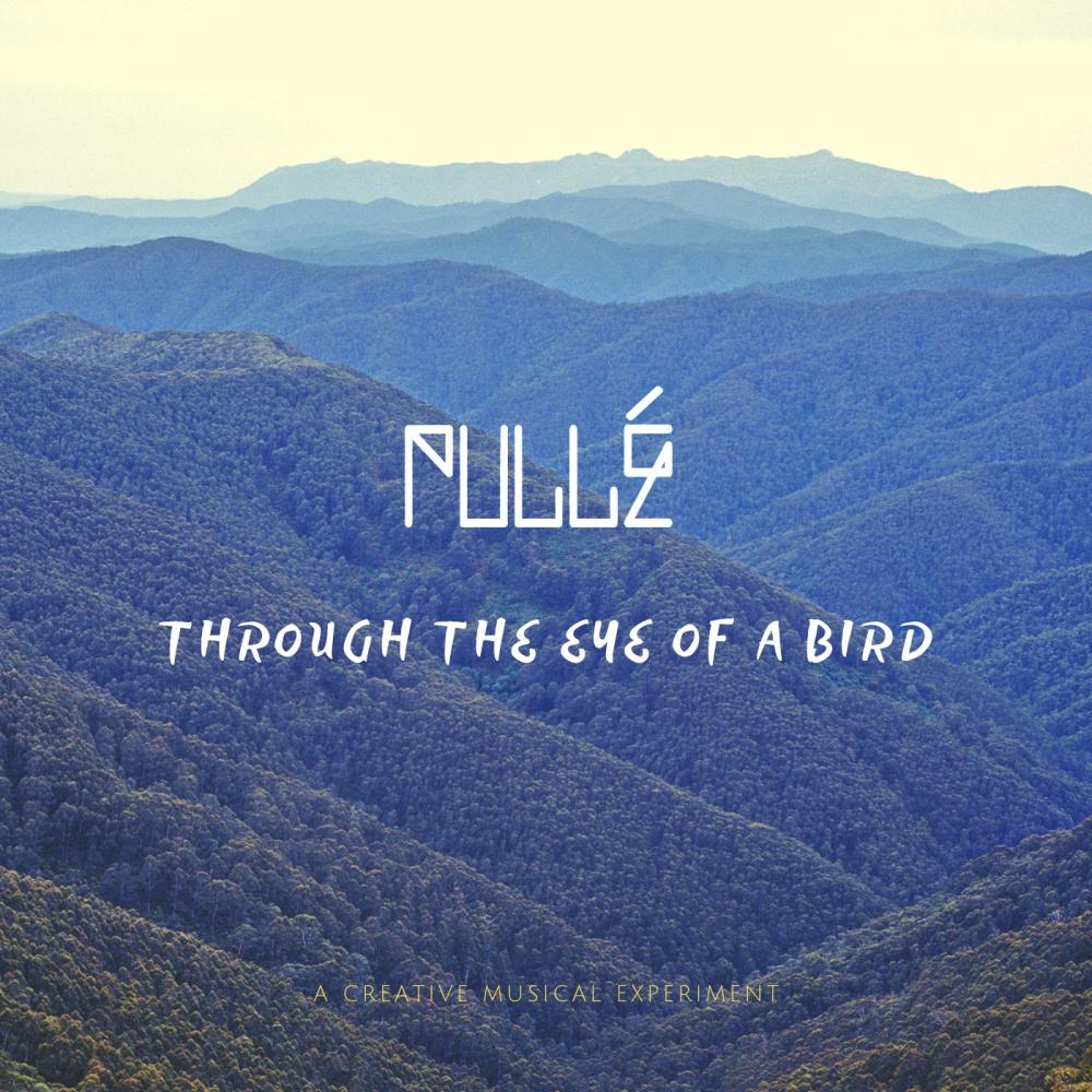 Through the Eye of a Bird (其他)