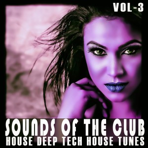 Listen to Rise Your Hands (Sexy Vocals Mix) song with lyrics from Nailon Gray