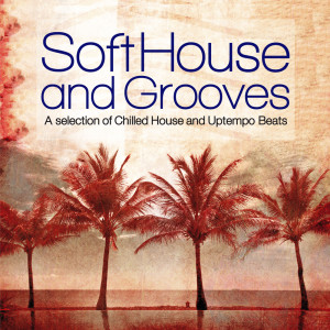 Various Artists的專輯Soft House and Grooves (A Selection of Chilled House and Uptempo Beats)