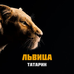 Listen to Львица song with lyrics from Татарин