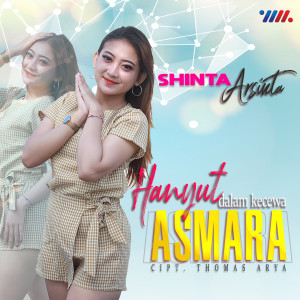 Listen to Hanyut Dalam Kecewa Asmara song with lyrics from Shinta Arsinta