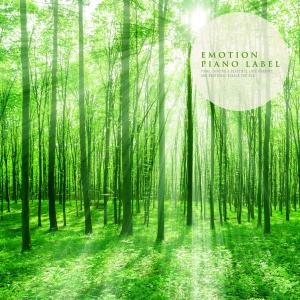 Album Emotional Piano To Listen With The Friendly Sound Of Nature (Nature Ver.) oleh Various Artists