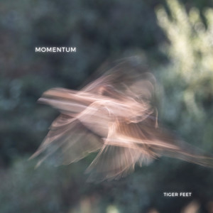 Album Momentum from Tiger Feet