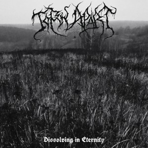 收听Torn Apart的Dissolving in Eternity (Explicit)歌词歌曲