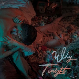 Dengarkan lagu Why,tonight ( w / I AM LUU, Crispy ) nyanyian co_os dengan lirik