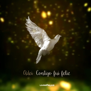 收聽Adei的Contigo Fui Feliz歌詞歌曲