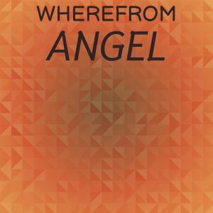 อัลบัม Wherefrom Angel ศิลปิน Various