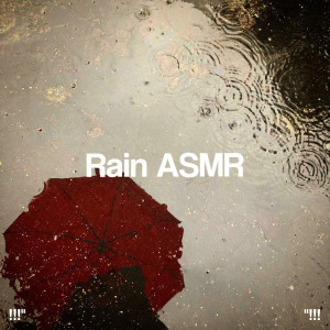 !!!" Rain ASMR "!!!
