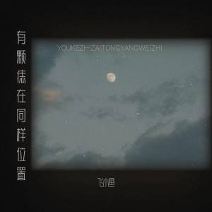 Album 有颗痣在同样位置 from 