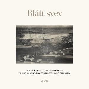 ดาวน์โหลดและฟังเพลง I alt dette som er og forsvinn พร้อมเนื้อเพลงจาก Hildegun Riise