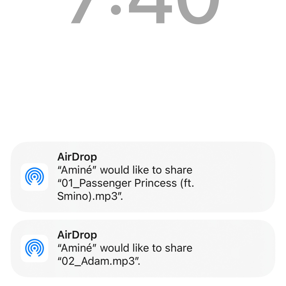 Passenger Princess (Explicit)