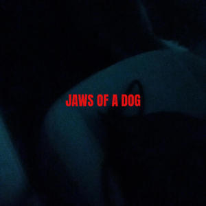 收聽Carlin的JAWS OF A DOG歌詞歌曲