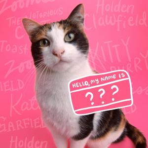 ดาวน์โหลดและฟังเพลง 123 (Explicit) พร้อมเนื้อเพลงจาก Yametsu