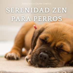 อัลบัม Serenidad Zen Para Perros: Abracen La Calma Juntos ศิลปิน Frecuencias de los chakras
