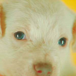 ดาวน์โหลดและฟังเพลง Aint Stoppin (Explicit) พร้อมเนื้อเพลงจาก clear eyes