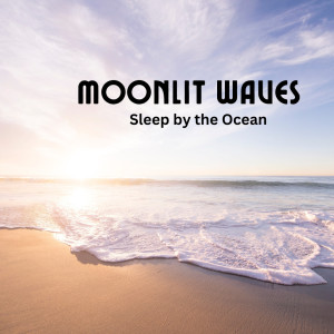 Nature Waterfalls的專輯Moonlit Waves: Sleep by the Ocean