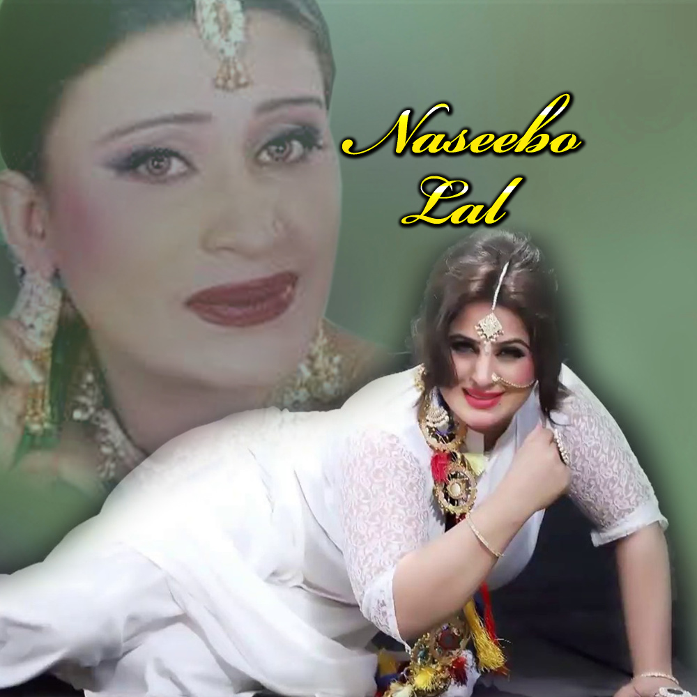 Labhna Ni Teno Choor Soch Mera Ve