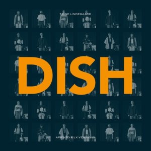 收聽Apiento的Dish (Dub Mix)歌詞歌曲