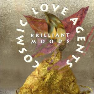 收聽Cosmic Love Agents的The Phoenix歌詞歌曲