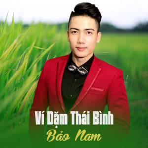 Listen to Ví Dặm Thái Bình song with lyrics from Bảo Nam