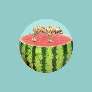 Listen to Tigermelon song with lyrics from Flandrs
