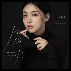 收听金钰晨的风停了歌词歌曲