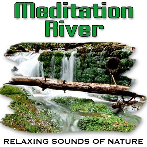 Learn Patience and Understanding from the Eternal River