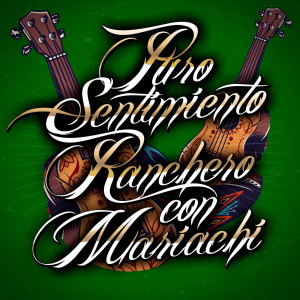 ดาวน์โหลดและฟังเพลง Florecita พร้อมเนื้อเพลงจาก Pablo Montero
