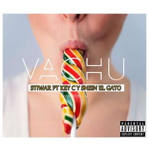 收聽StiwarMusically的Vachu (feat. key c & Shein el gato)歌詞歌曲