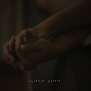 Dengarkan lagu Single Mom nyanyian Anatomy Rabbit dengan lirik