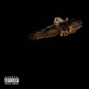 Album Change from Aaron Martin