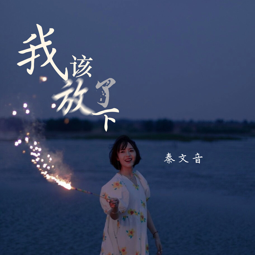 我该放下了 (DJ伟然版伴奏)