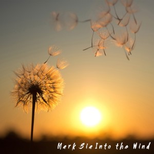 Album Into the Wind from Mark Sia