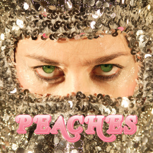 ดาวน์โหลดและฟังเพลง Hit It Hard พร้อมเนื้อเพลงจาก Peaches
