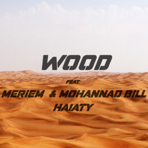 Listen to Haiaty song with lyrics from Wood