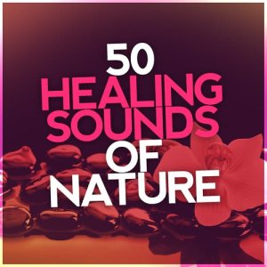 ดาวน์โหลดและฟังเพลง Natural Waters พร้อมเนื้อเพลงจาก The Natural Healing Project