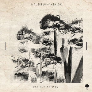 Various Artists的專輯Mauerblümchen 002