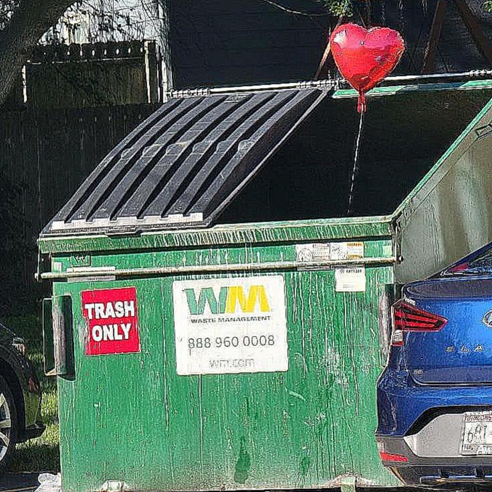 ▁ ▂ ▄ ▅ ▆ ▇ █ Zénith d'amour  █ ▇ ▆ ▅ ▄ ▂ ▁