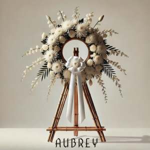 Listen to Aubrey (Explicit) song with lyrics from Shehyee