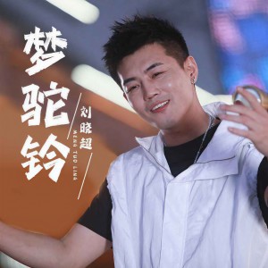 收聽劉曉超的夢駝鈴 (DJ默涵版)歌詞歌曲