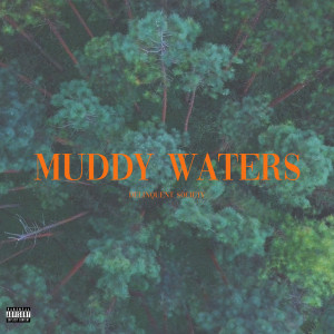 收聽Delinquent Society的Muddy Waters歌詞歌曲