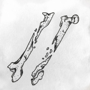 收聽Human Bones的Frames歌詞歌曲