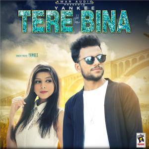 Listen to Tere Bina song with lyrics from Yankee