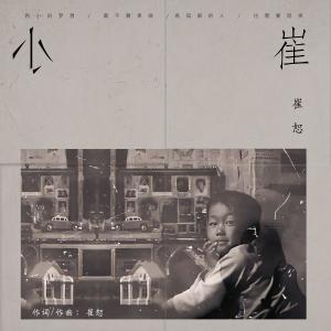 崔恕的專輯小崔